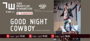 cowboy - baner