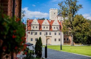 Zamek Topacz (3)